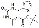 (9CI)-1,2,3,4-四氫-6-甲基-2-氧代-4-(2-噻吩)-5-嘧啶羧酸 1,1-二甲基乙酯結構式_500268-74-6結構式