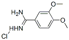 3,4-Dimethoxybenzimidamide hydrochlorideStructure,51488-33-6Structure 3,4-Dimethoxybenzimidamide hydrochloride Structure,51488-33-6Structure