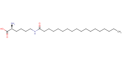 N6-(1-oxooctadecyl)-l-lysineStructure,52616-32-7Structure N6-(1-oxooctadecyl)-l-lysine Structure,52616-32-7Structure