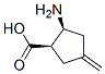 (1R,2s)-2-amino-4-methylidene-cyclopentane-1-carboxylic acidStructure,526194-96-7Structure (1R,2s)-2-amino-4-methylidene-cyclopentane-1-carboxylic acid Structure,526194-96-7Structure