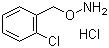 1-[(Ammoniooxy)methyl]-2-chlorobenzene chloride Structure,5555-48-6Structure