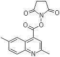 2,6-Dimethyl-4-quinolinecarboxylic acid n-hydroxysuccinimide esterStructure,569355-30-2Structure 2,6-Dimethyl-4-quinolinecarboxylic acid n-hydroxysuccinimide ester Structure,569355-30-2Structure