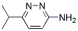 3-Pyridazinamine, 6-(1-methylethyl)-Structure,570416-37-4Structure 3-Pyridazinamine, 6-(1-methylethyl)- Structure,570416-37-4Structure