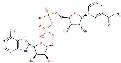 Dihydronicotinamide-adenine dinucleotideStructure,58-68-4Structure Dihydronicotinamide-adenine dinucleotide Structure,58-68-4Structure
