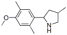 Pyrrolidine, 2-(4-methoxy-2,5-dimethylphenyl)-4-methyl- (9ci) Structure,603068-61-7Structure