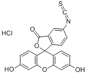 Fluorescein isothiocyanate i hydrochlorideStructure,63469-13-6Structure Fluorescein isothiocyanate i hydrochloride Structure,63469-13-6Structure