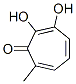 2,4,6-Cycloheptatrien-1-one, 2,3-dihydroxy-7-methyl-(9ci)Structure,690233-50-2Structure 2,4,6-Cycloheptatrien-1-one, 2,3-dihydroxy-7-methyl-(9ci) Structure,690233-50-2Structure