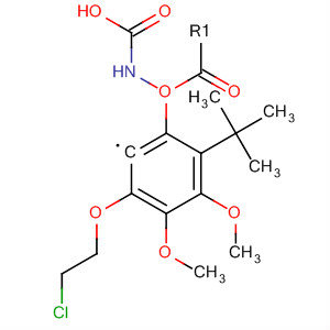 Tert-butyl 3-(2-chloroethoxy)-4,5-dimethoxyphenylcarbamateStructure,700804-35-9Structure Tert-butyl 3-(2-chloroethoxy)-4,5-dimethoxyphenylcarbamate Structure,700804-35-9Structure