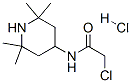 2-Chloro-n-(2,2,6,6-tetramethylpiperidin-4-yl)acetamide hydrochlorideStructure,70804-01-2Structure 2-Chloro-n-(2,2,6,6-tetramethylpiperidin-4-yl)acetamide hydrochloride Structure,70804-01-2Structure