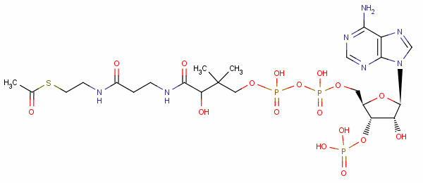 Acetyl coenzyme aStructure,72-89-9Structure Acetyl coenzyme a Structure,72-89-9Structure