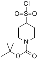 4-Chlorosulfonyl-piperidine-1-carboxylic acid tert-butyl esterStructure,782501-25-1Structure 4-Chlorosulfonyl-piperidine-1-carboxylic acid tert-butyl ester Structure,782501-25-1Structure