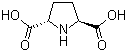 (2S,5s)-2,5-pyrrolidinedicarboxylic acidStructure,81702-31-0Structure (2S,5s)-2,5-pyrrolidinedicarboxylic acid Structure,81702-31-0Structure