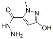 3-Hydroxy-1-methyl-1H-pyrazole-5-carbohydrazideStructure,844891-24-3Structure 3-Hydroxy-1-methyl-1H-pyrazole-5-carbohydrazide Structure,844891-24-3Structure