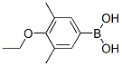 3,5-Dimethyl-4-ethoxyphenylboronic acidStructure,850568-59-1Structure 3,5-Dimethyl-4-ethoxyphenylboronic acid Structure,850568-59-1Structure