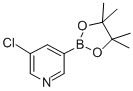 Pyridine, 3-chloro-5-(4,4,5,5-tetramethyl-1,3,2-dioxaborolan-2-yl)-Structure,865186-94-3Structure Pyridine, 3-chloro-5-(4,4,5,5-tetramethyl-1,3,2-dioxaborolan-2-yl)- Structure,865186-94-3Structure