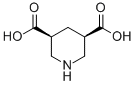 Cis-3,5-piperidinedicarboxylic acidStructure,876367-84-9Structure Cis-3,5-piperidinedicarboxylic acid Structure,876367-84-9Structure