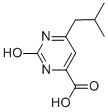 2-Hydroxy-6-isobutylpyrimidine-4-carboxylic acidStructure,876715-59-2Structure 2-Hydroxy-6-isobutylpyrimidine-4-carboxylic acid Structure,876715-59-2Structure
