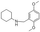 N-(2,5-dimethoxybenzyl)cyclohexanamineStructure,879619-96-2Structure N-(2,5-dimethoxybenzyl)cyclohexanamine Structure,879619-96-2Structure