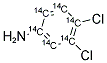 3,4-二氯苯胺-13C6結(jié)構(gòu)式_89059-40-5結(jié)構(gòu)式