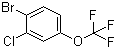 Benzene, 1-bromo-2-chloro-4-(trifluoromethoxy)-Structure,892845-59-9Structure Benzene, 1-bromo-2-chloro-4-(trifluoromethoxy)- Structure,892845-59-9Structure