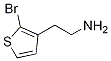 2-(2-Bromothiophen-3-yl)ethylamineStructure,893421-71-1Structure 2-(2-Bromothiophen-3-yl)ethylamine Structure,893421-71-1Structure