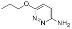 3-Pyridazinamine, 6-propoxy- Structure,90008-50-7Structure