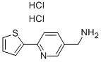 (6-Thien-2-ylpyridin-3-yl)methylamine dihydrochlorideStructure,913830-32-7Structure (6-Thien-2-ylpyridin-3-yl)methylamine dihydrochloride Structure,913830-32-7Structure