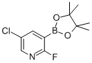 5-Chloro-2-fluoropyridine-3-boronic acid pinacol esterStructure,937595-72-7Structure 5-Chloro-2-fluoropyridine-3-boronic acid pinacol ester Structure,937595-72-7Structure