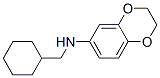 1,4-Benzodioxin-6-amine, n-(cyclohexylmethyl)-2,3-dihydro-Structure,940366-76-7Structure 1,4-Benzodioxin-6-amine, n-(cyclohexylmethyl)-2,3-dihydro- Structure,940366-76-7Structure