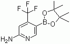 2-Amino-4-(trifluoromethyl) pyridine-5-boronic acid pinacol esterStructure,944401-57-4Structure 2-Amino-4-(trifluoromethyl) pyridine-5-boronic acid pinacol ester Structure,944401-57-4Structure