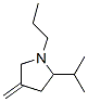 (9CI)-4-亞甲基-2-(1-甲基乙基)-1-丙基-吡咯烷結(jié)構(gòu)式_94956-96-4結(jié)構(gòu)式