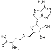 S-Adenosyl-L-homocysteine Structure,979-92-0Structure