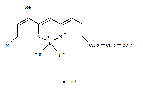 3-Bodipy-propanoic acid Structure,165599-63-3Structure