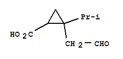 Cyclopropanecarboxylic acid,2-(1-methylethyl )-2-(2-oxoethyl )- (9ci)Structure,244793-42-8Structure Cyclopropanecarboxylic acid,2-(1-methylethyl )-2-(2-oxoethyl )- (9ci) Structure,244793-42-8Structure