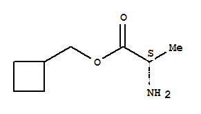 L-alanine, cyclobutylmethyl ester (9ci)Structure,261909-76-6Structure L-alanine, cyclobutylmethyl ester (9ci) Structure,261909-76-6Structure