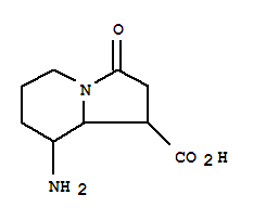 8-Amino-3-oxooctahydro-1-indolizinecarboxylic acidStructure,349101-83-3Structure 8-Amino-3-oxooctahydro-1-indolizinecarboxylic acid Structure,349101-83-3Structure