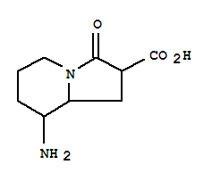 2-Indolizinecarboxylicacid,8-aminooctahydro-3-oxo-(9ci)Structure,349101-84-4Structure 2-Indolizinecarboxylicacid,8-aminooctahydro-3-oxo-(9ci) Structure,349101-84-4Structure