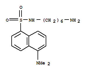 N-(6-aminohexyl)-5-dimethylaminonaphthalene-1-sulfonamideStructure,34995-01-2Structure N-(6-aminohexyl)-5-dimethylaminonaphthalene-1-sulfonamide Structure,34995-01-2Structure