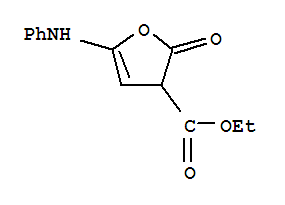 2,3-二氫-2-氧代-5-(苯基氨基)-3-呋喃羧酸乙酯結(jié)構(gòu)式_353507-96-7結(jié)構(gòu)式