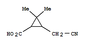 Cyclopropanecarboxylic acid,3-(cyanomethyl)-2,2-dimethyl-(9ci)Structure,388623-23-2Structure Cyclopropanecarboxylic acid,3-(cyanomethyl)-2,2-dimethyl-(9ci) Structure,388623-23-2Structure