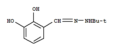 Benzaldehyde,2,3-dihydroxy-,(1,1-dimethylethyl)hydrazone (9ci)Structure,389610-37-1Structure Benzaldehyde,2,3-dihydroxy-,(1,1-dimethylethyl)hydrazone (9ci) Structure,389610-37-1Structure