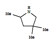 2,4,4-Trimethyl-pyrrolidineStructure,73604-52-1Structure 2,4,4-Trimethyl-pyrrolidine Structure,73604-52-1Structure