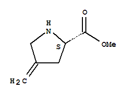 L-proline, 4-methylene-, methyl ester (9ci)Structure,84348-40-3Structure L-proline, 4-methylene-, methyl ester (9ci) Structure,84348-40-3Structure