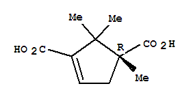 3-Cyclopentene-1,3-dicarboxylic acid, 1,2,2-trimethyl-, (r)-(9ci)Structure,87798-58-1Structure 3-Cyclopentene-1,3-dicarboxylic acid, 1,2,2-trimethyl-, (r)-(9ci) Structure,87798-58-1Structure