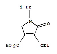 1H-pyrrole-3-carboxylicacid,4-ethoxy-2,5-dihydro-1-(1-methylethyl)-5-oxo-(9ci)Structure,88767-02-6Structure 1H-pyrrole-3-carboxylicacid,4-ethoxy-2,5-dihydro-1-(1-methylethyl)-5-oxo-(9ci) Structure,88767-02-6Structure