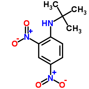 Benzenamine,n-(1,1-dimethylethyl)-2,4-dinitro-Structure,13059-89-7Structure Benzenamine,n-(1,1-dimethylethyl)-2,4-dinitro- Structure,13059-89-7Structure