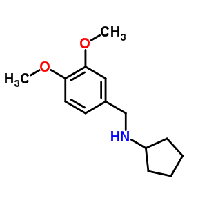 Cyclopentyl-(3,4-dimethoxy-benzyl)-amineStructure,356091-42-4Structure Cyclopentyl-(3,4-dimethoxy-benzyl)-amine Structure,356091-42-4Structure