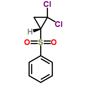 2,2-Dichlorocyclopropyl phenyl sulfoneStructure,38435-04-0Structure 2,2-Dichlorocyclopropyl phenyl sulfone Structure,38435-04-0Structure