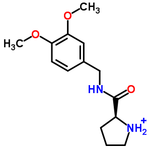 吡咯烷-2-羧酸 3,4-二甲氧基-芐基酰胺結(jié)構(gòu)式_438581-56-7結(jié)構(gòu)式