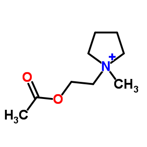 AcetylpyrrolidinecholineStructure,54377-96-7Structure Acetylpyrrolidinecholine Structure,54377-96-7Structure